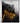 Golden Panther – Luxury Black Panther Canvas Wall Art with Gold Drip Effect